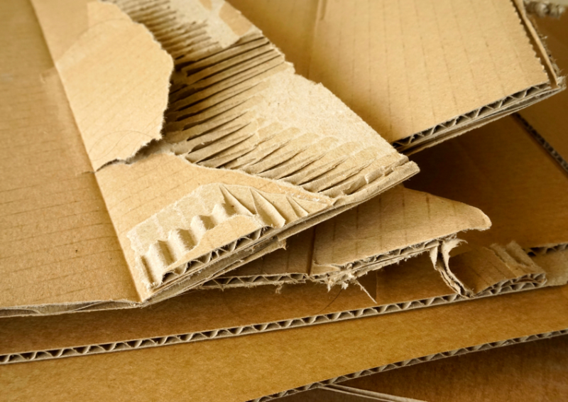 Nechte je na záhonech v listopadu. Na jaře nebudou žádné plevele a půda bude úrodnější.