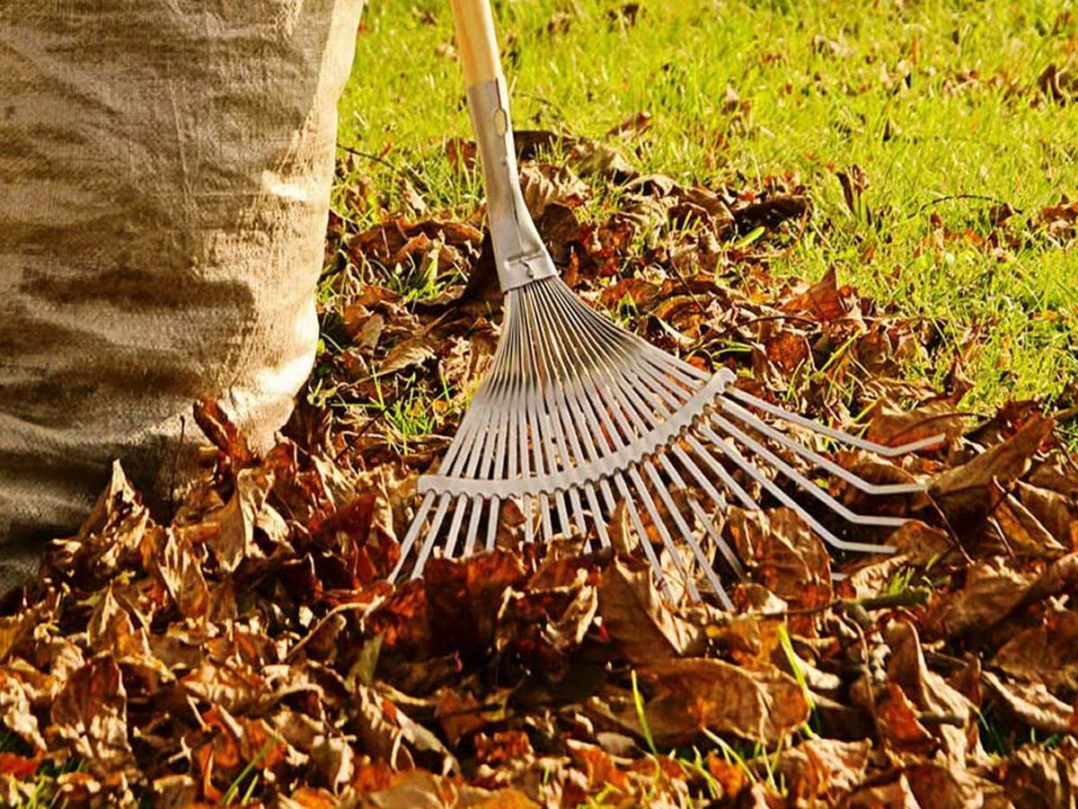Japonský způsob, jak se vypořádat s opadaným listím na podzim. Pomůže vaší zahradě kvést po celý rok.