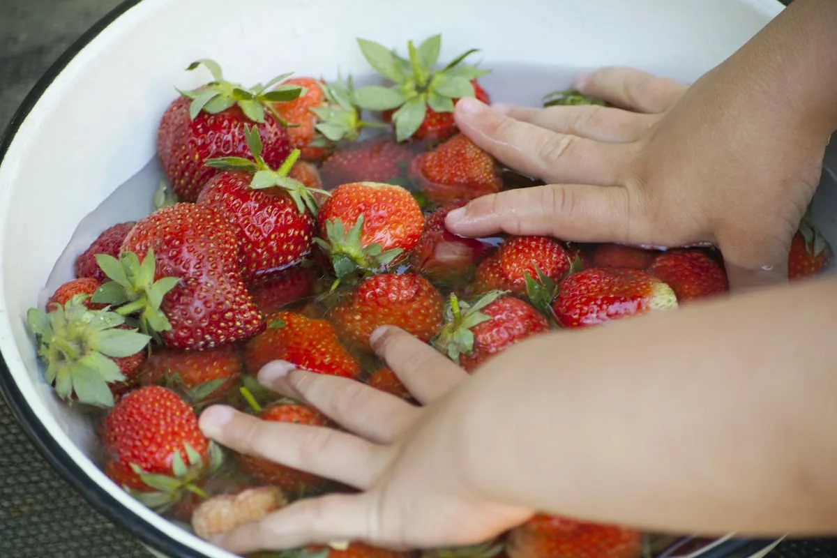 Ani v ledničce, ani v ovocné míse – to je nejlepší místo pro skladování jahod, aby nehnily.