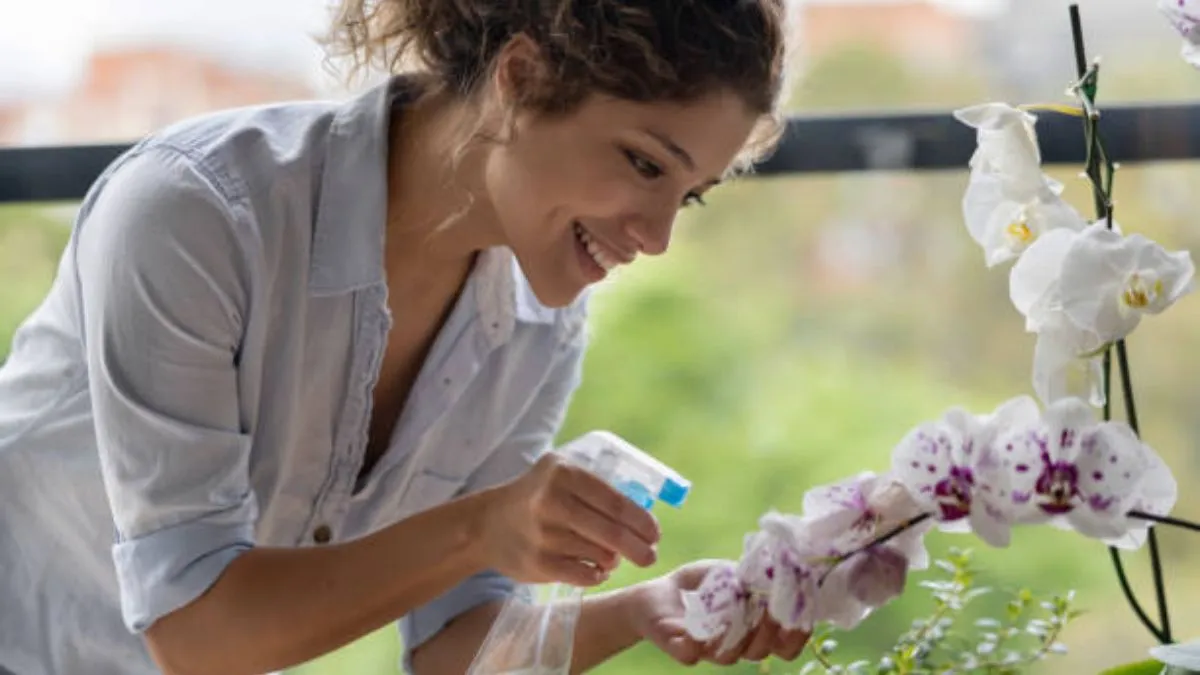 Lepší než domácí hnojivo: co udělat s orchidejemi, aby rozkvetly za pouhých několik týdnů