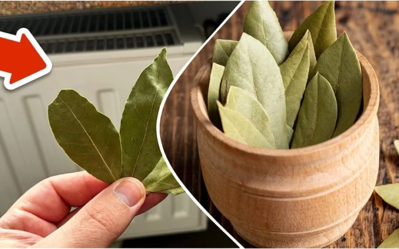 Nechám jednu „věc“ přes noc na radiátoru a ráno jsem překvapená výsledkem: voní velmi příjemně a odpuzuje škodlivý hmyz.